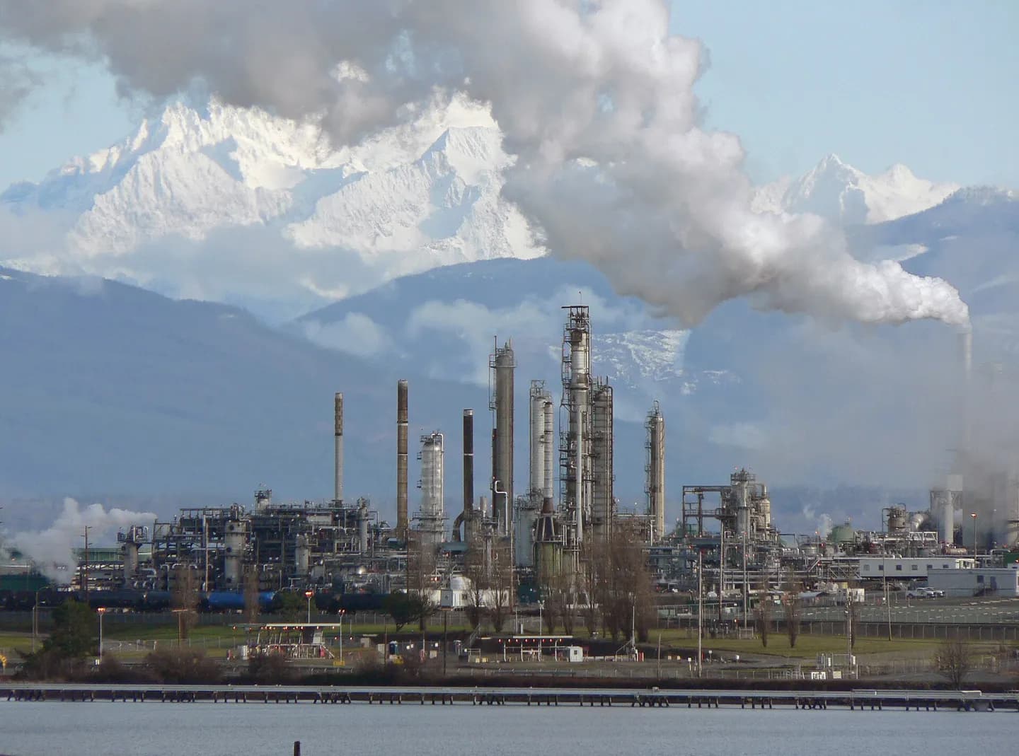 Petrochemical flows