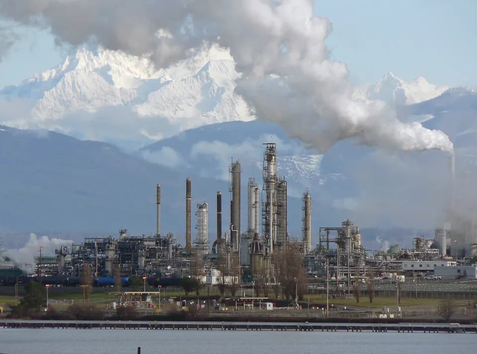 Petrochemical flows